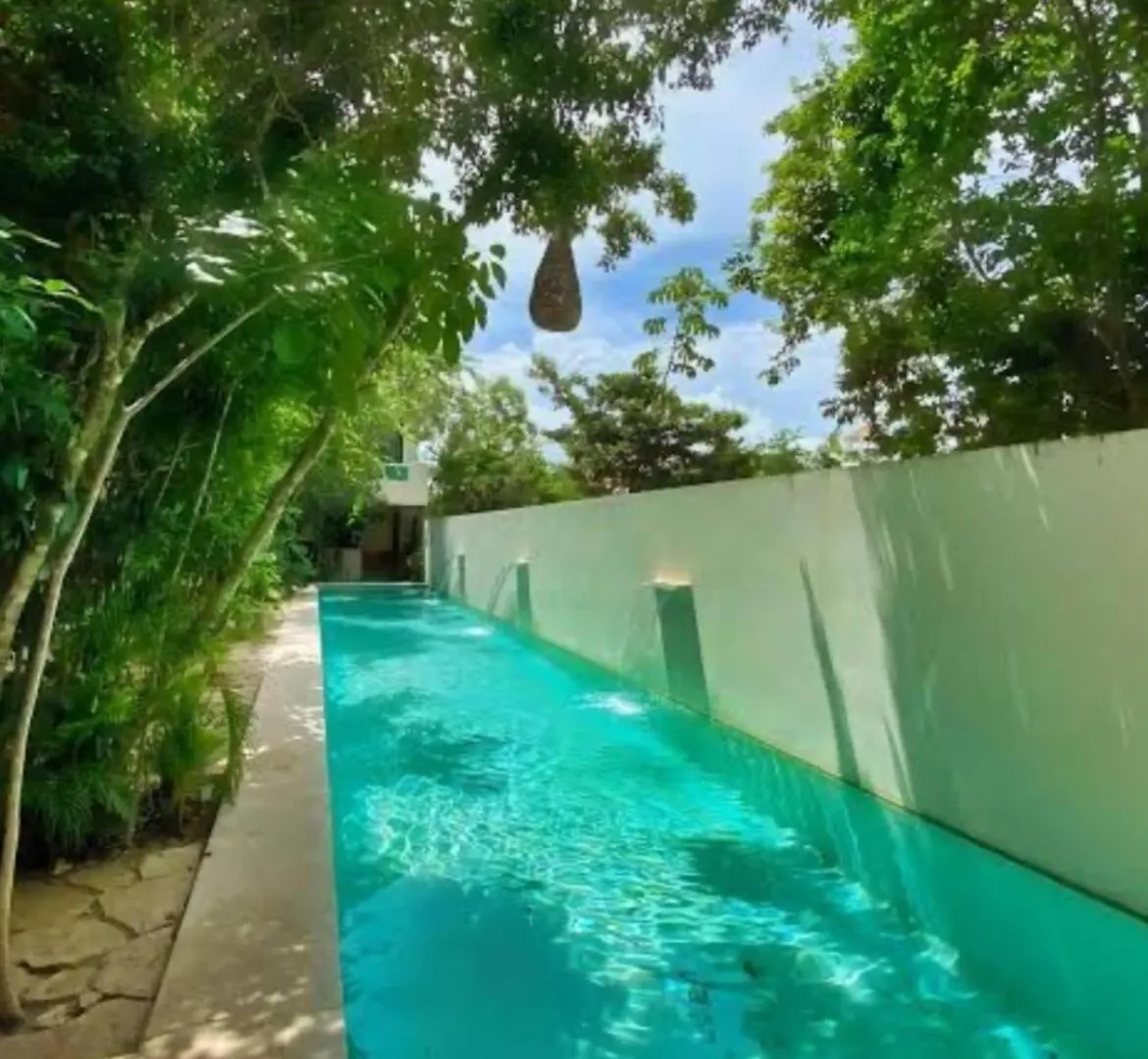 Apartment Ph W Best Sunrises And Jungle View Digital Nomads Near Holistika Tulum Mexico